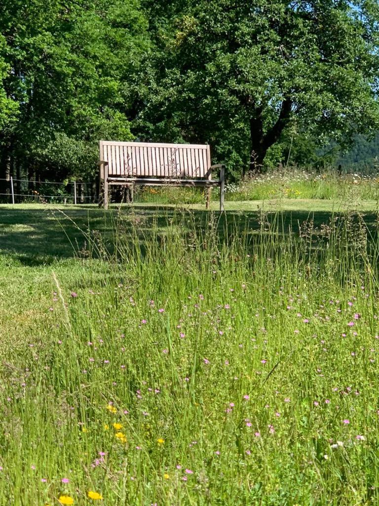 Urlaub Mit Hund Auf Dem Bauernhof Hofswald * Euscheid